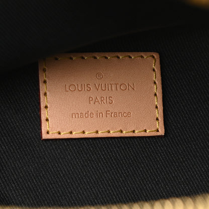 Louis Vuitton Monogram Bumbag 6 of 9