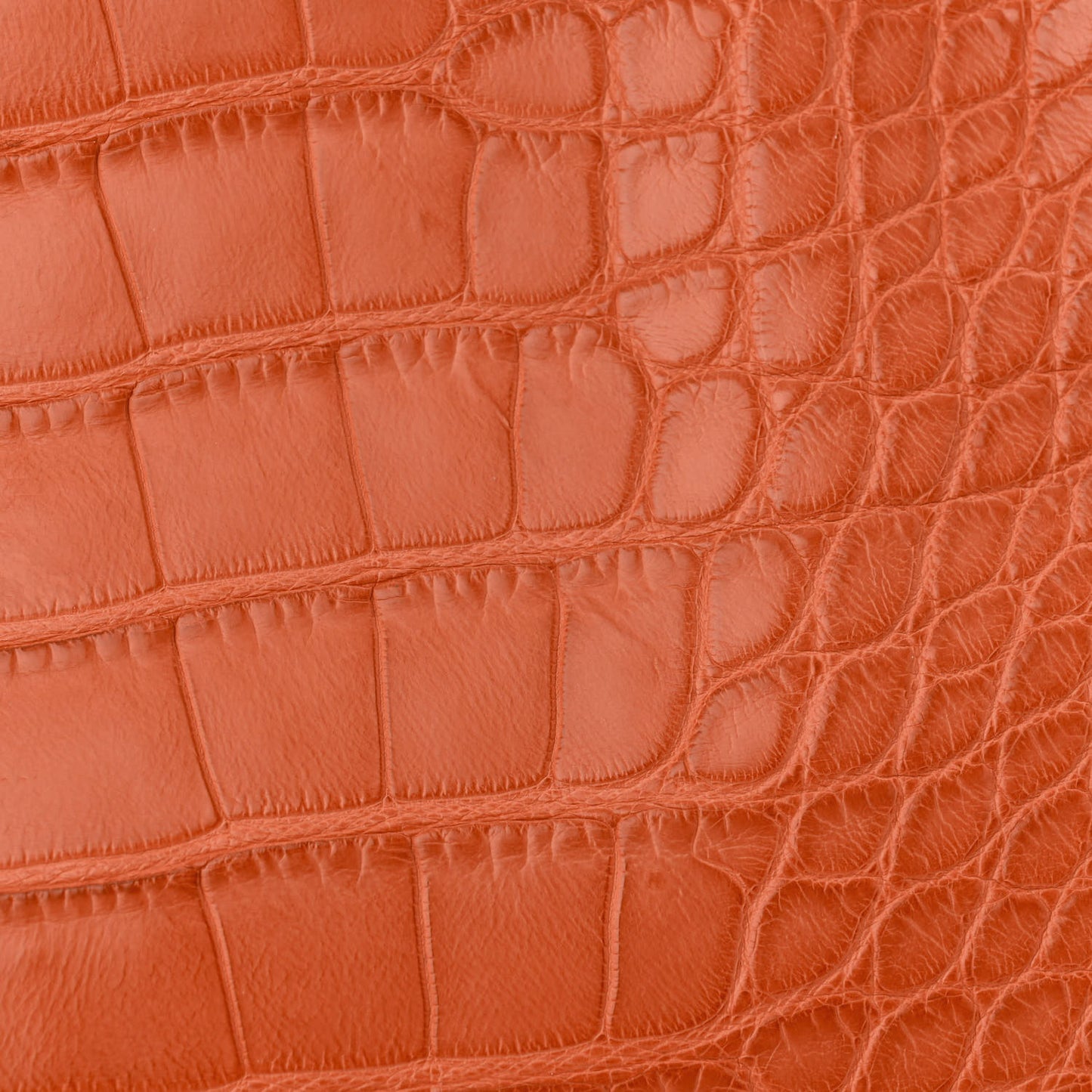 Matte Alligator Birkin 30 Pain d'Epices