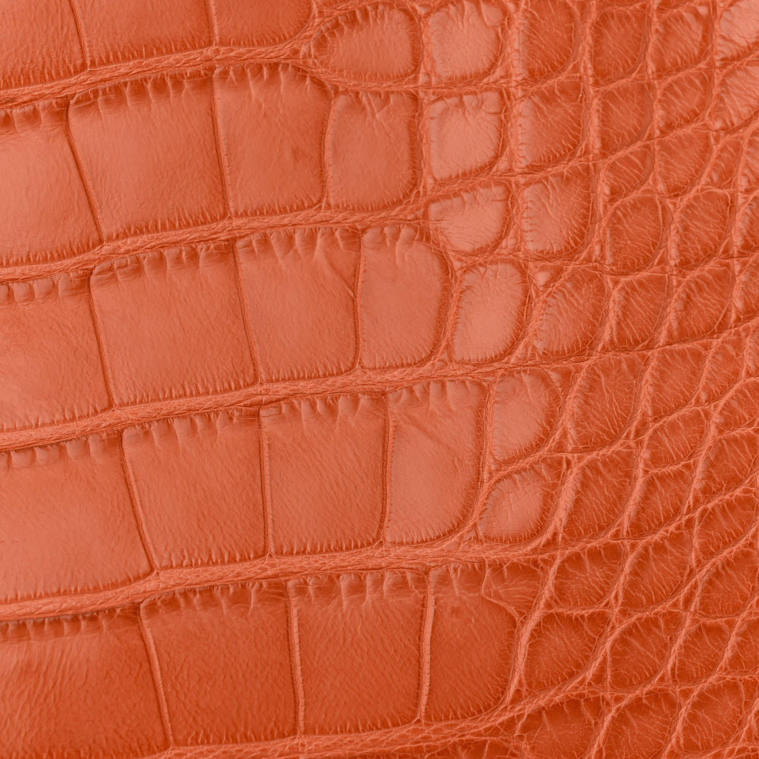 Hermes Matte Alligator Birkin 30 Pain d'Epices 12 of 12