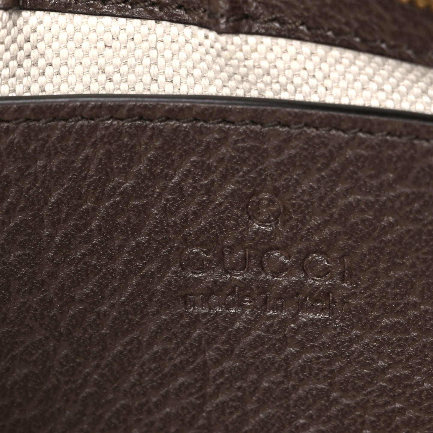 GG Supreme Monogram Textured Dollar Calfskin Small Ophidia Hobo Beige Ebony New Acero