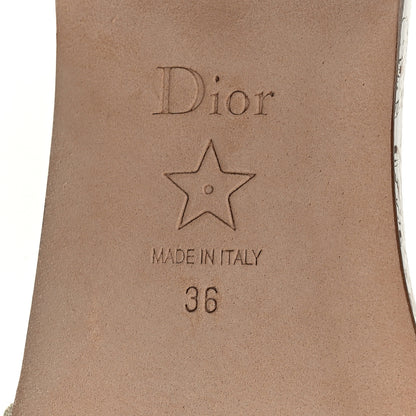 Christian Dior Canvas Lurex Jardin d'Hiver Embroidered Dway Flat Slide Sandals 36 White Palladium 8 of 8