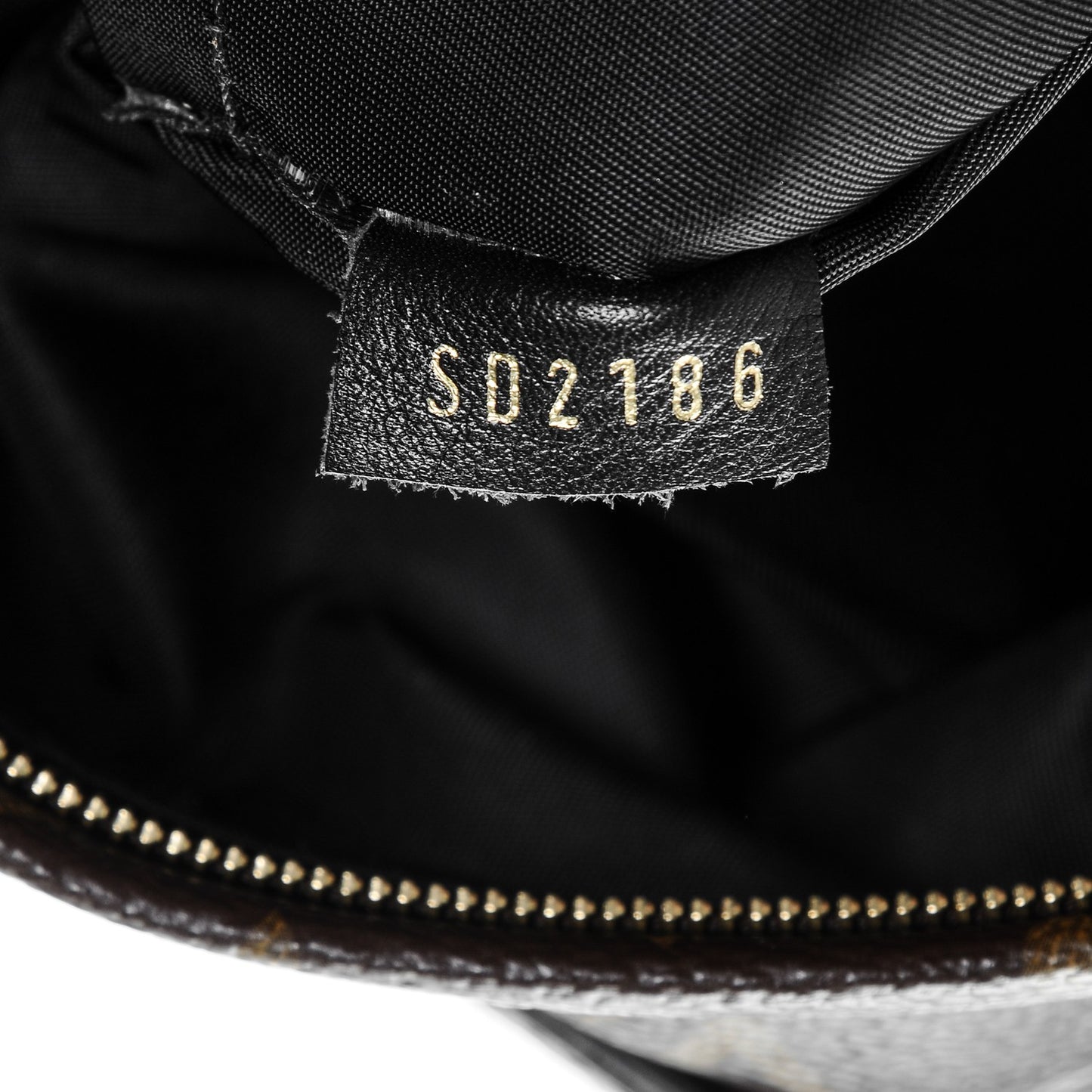 Monogram Palm Springs Backpack Mini