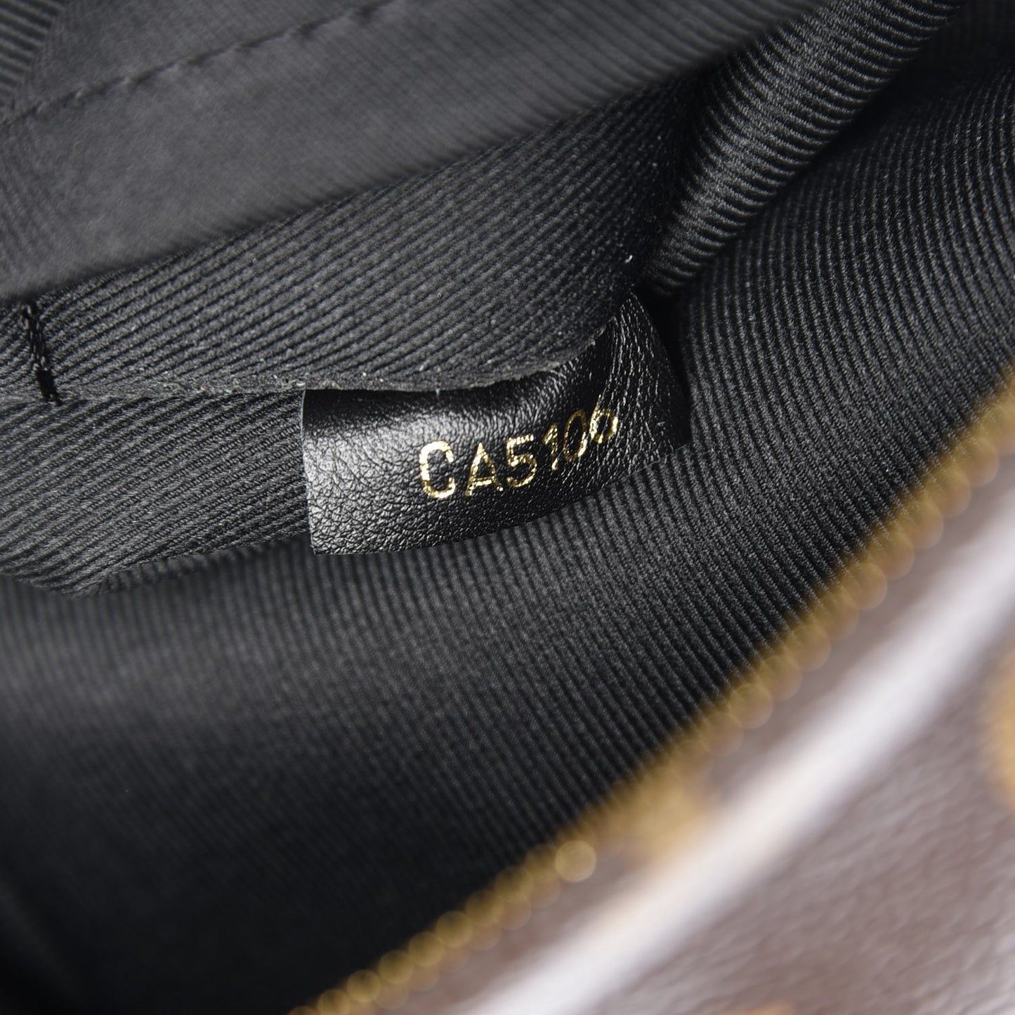 Monogram Palm Springs Backpack PM