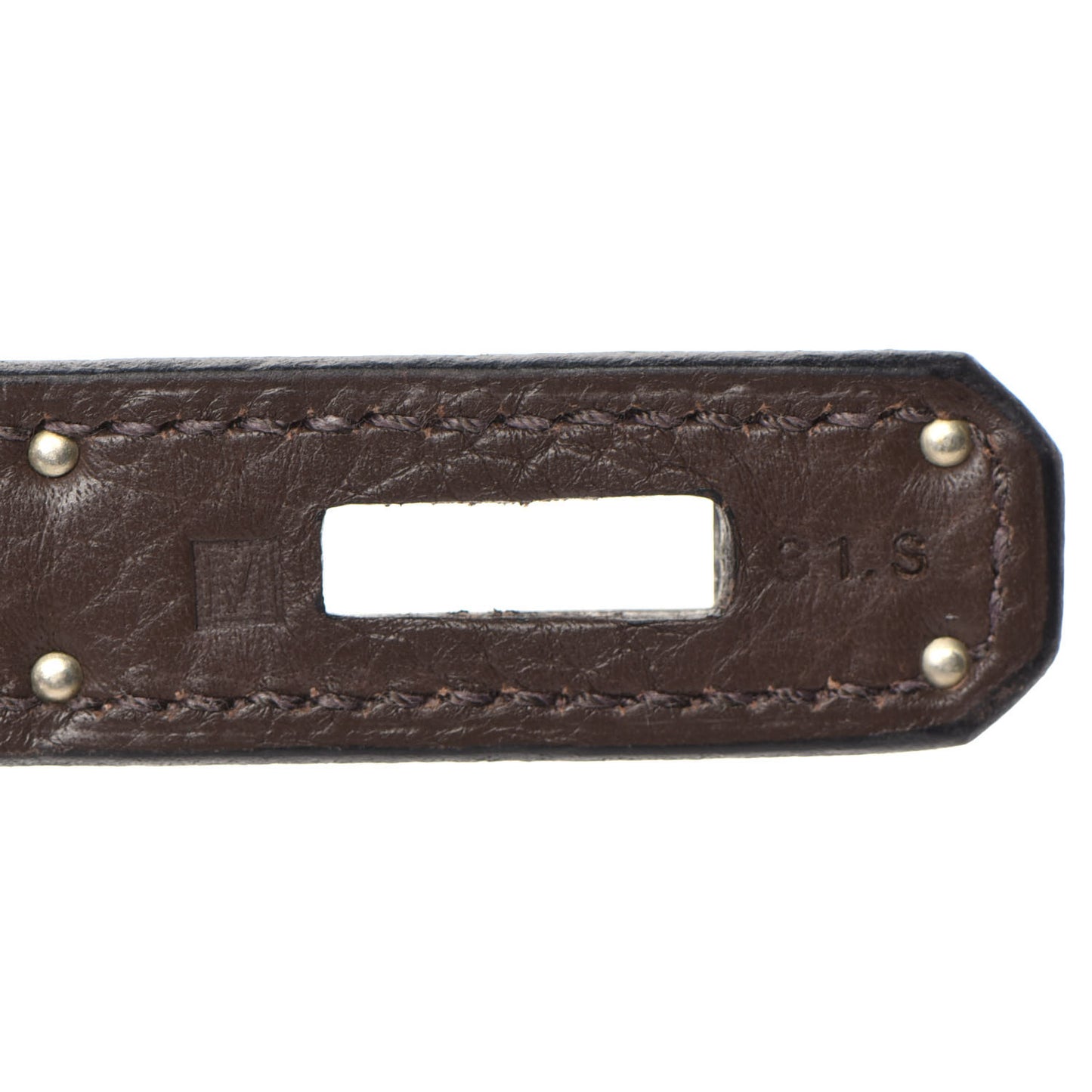 Taurillon Clemence Kelly Retourne 35 Chocolate