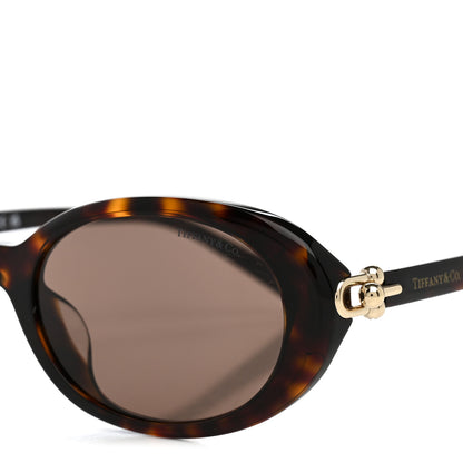 Tiffany Acetate Hardwear Oval Sunglasses TF4242D Tortoise Brown 7 of 8