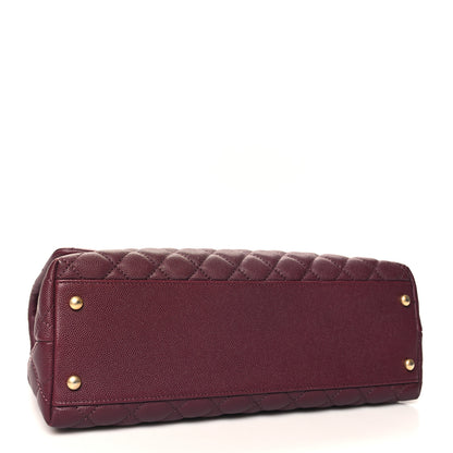 Chanel Caviar Lizard Quilted Medium Coco Handle Flap Burgundy 4 of 12