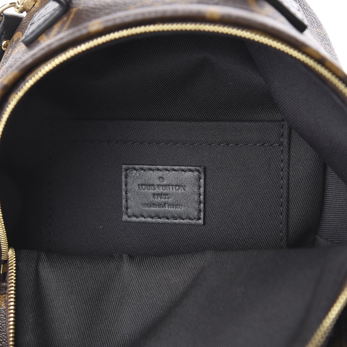 Monogram Palm Springs Backpack Mini