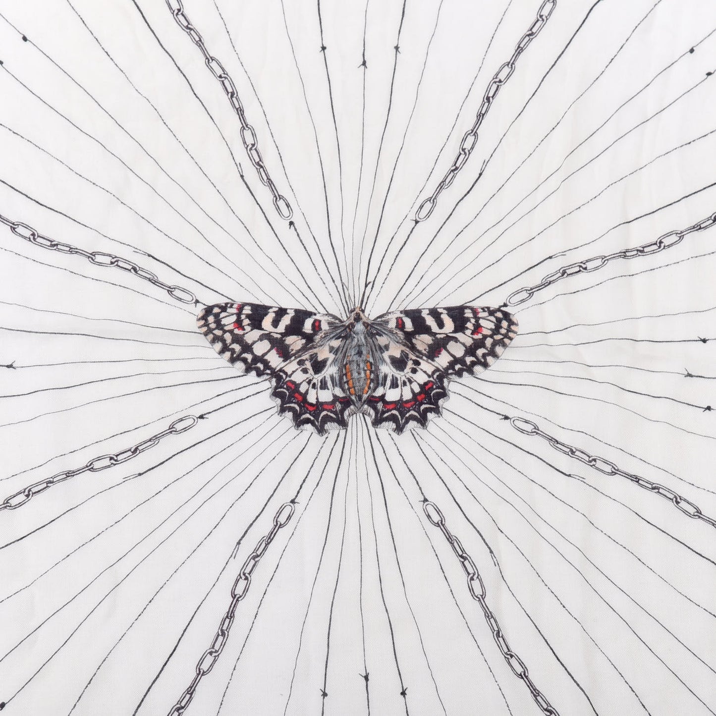 Silk Chiffon Butterfly Scarf White