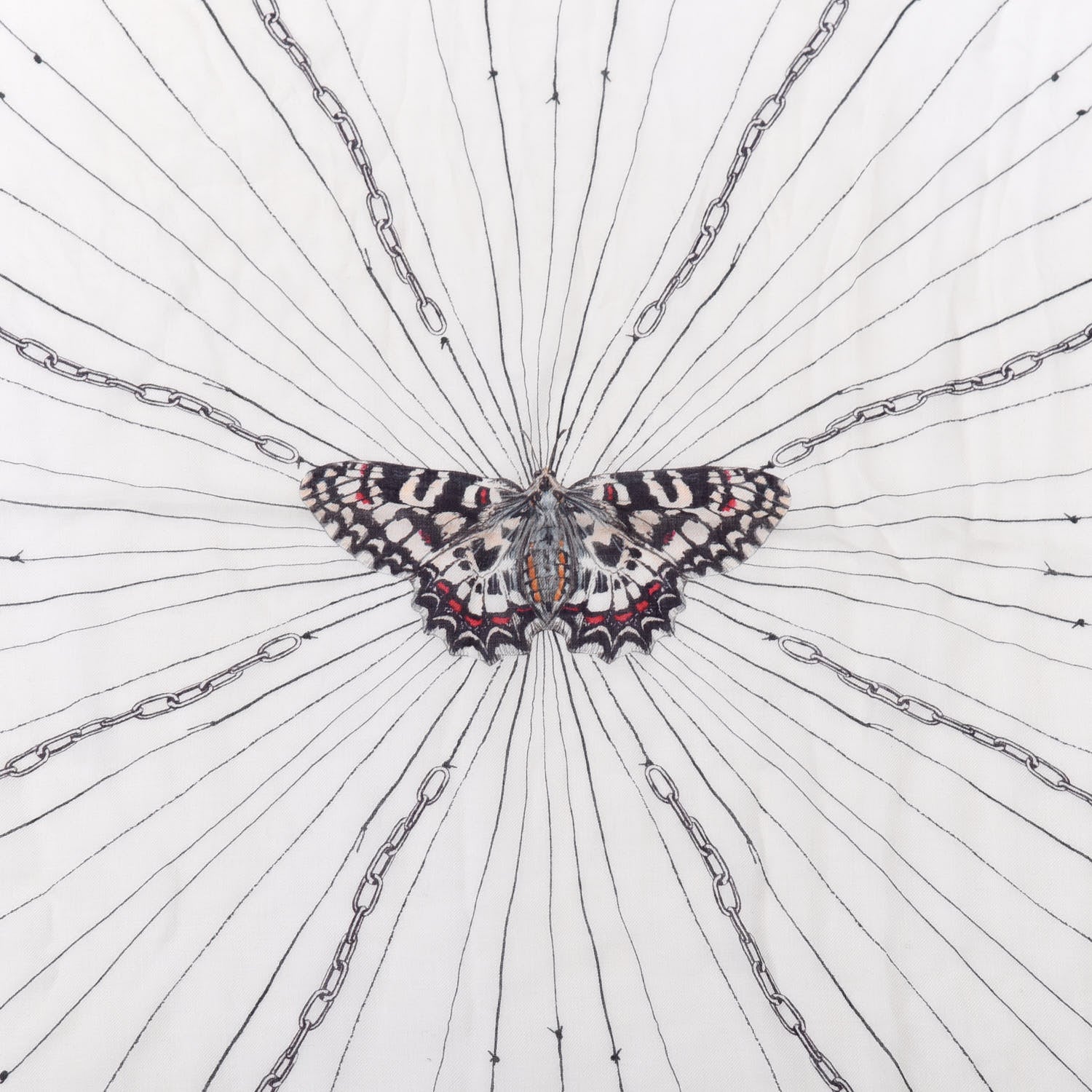 Alexander McQueen Silk Chiffon Butterfly Scarf White 2 of 5