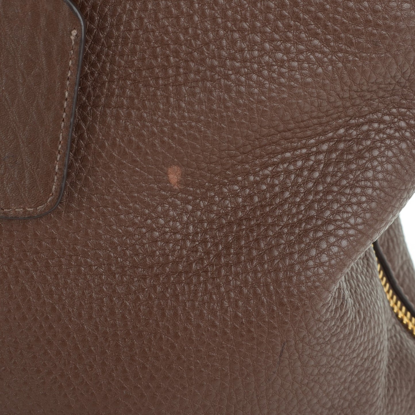 Vitello Daino Side Zip Tote Bruciato
