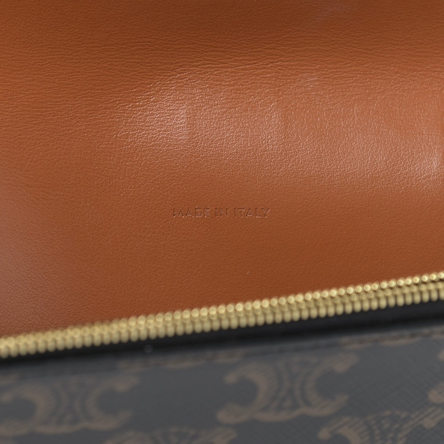 Triomphe Canvas Lambskin Wallet On Strap Tan