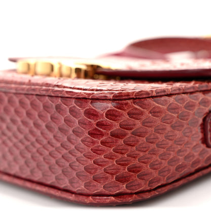Celine Watersnake Teen Triomphe Ruby 10 of 11
