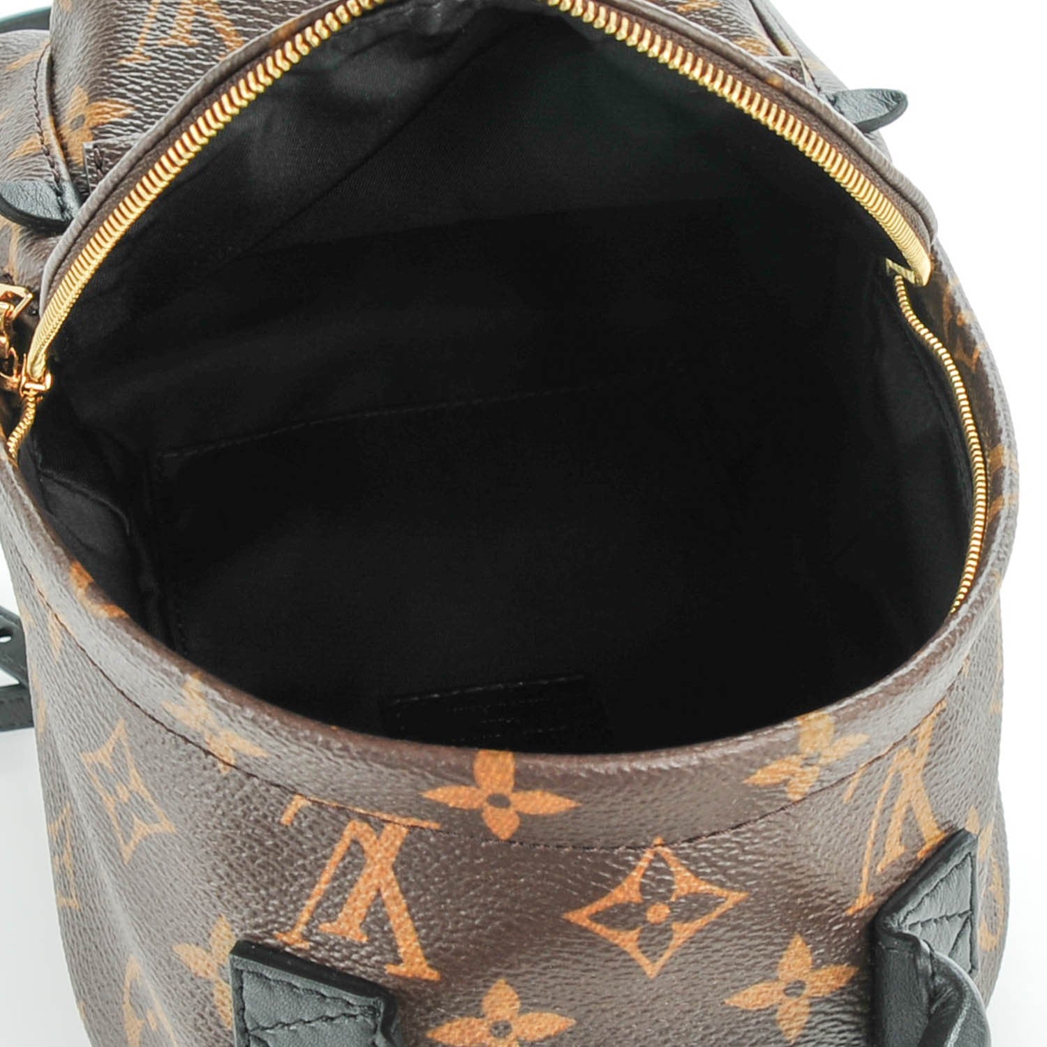 Louis Vuitton Monogram Palm Springs Backpack Mini 5 of 7