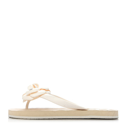 Chanel PVC Camellia Thong Sandals 36 Ivory 1 of 8