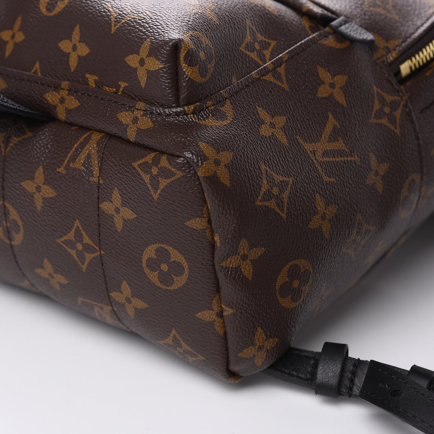 Monogram Palm Springs Backpack PM