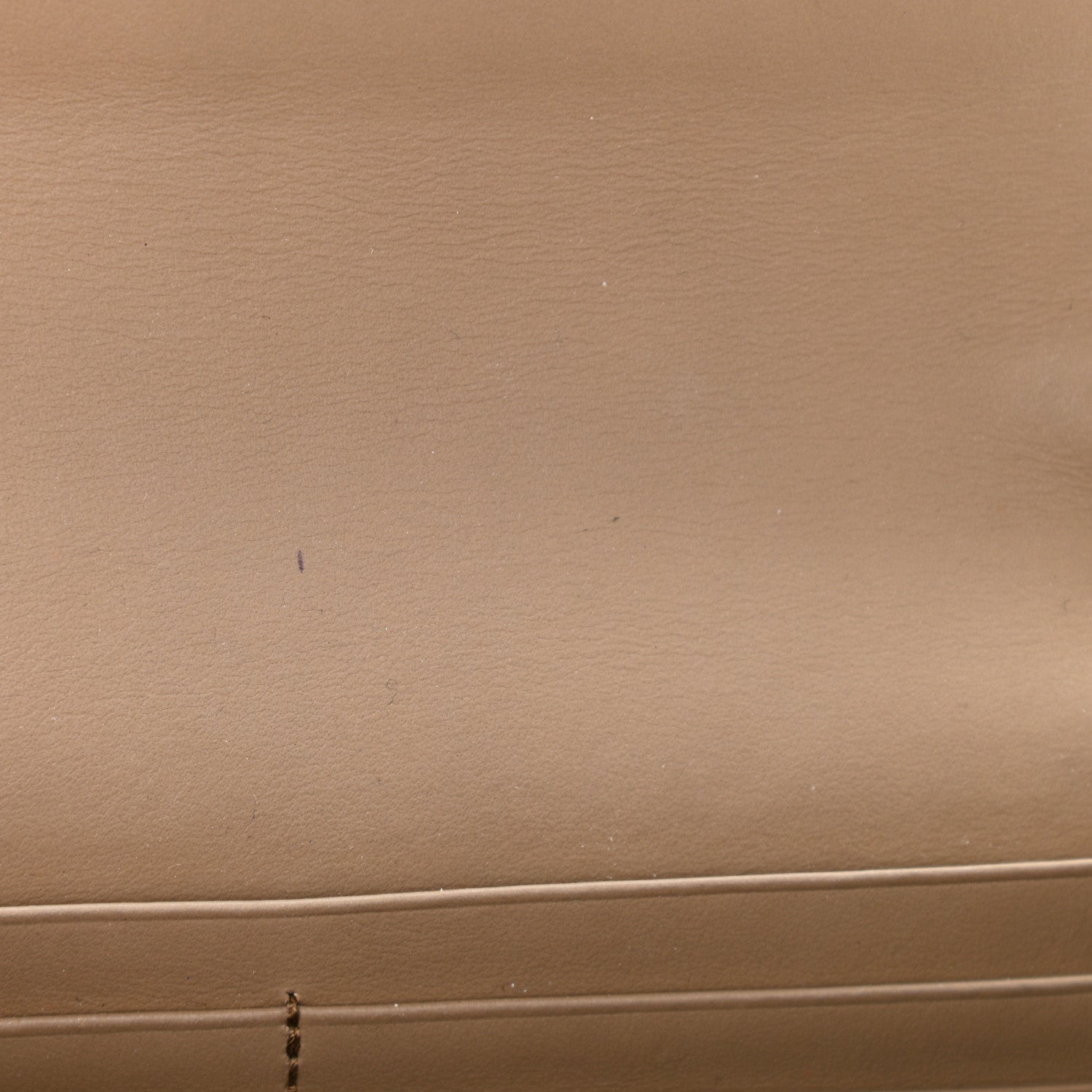 Gucci GG Supreme Monogram Mini Dionysus Chain Wallet Beige Taupe 11 of 11