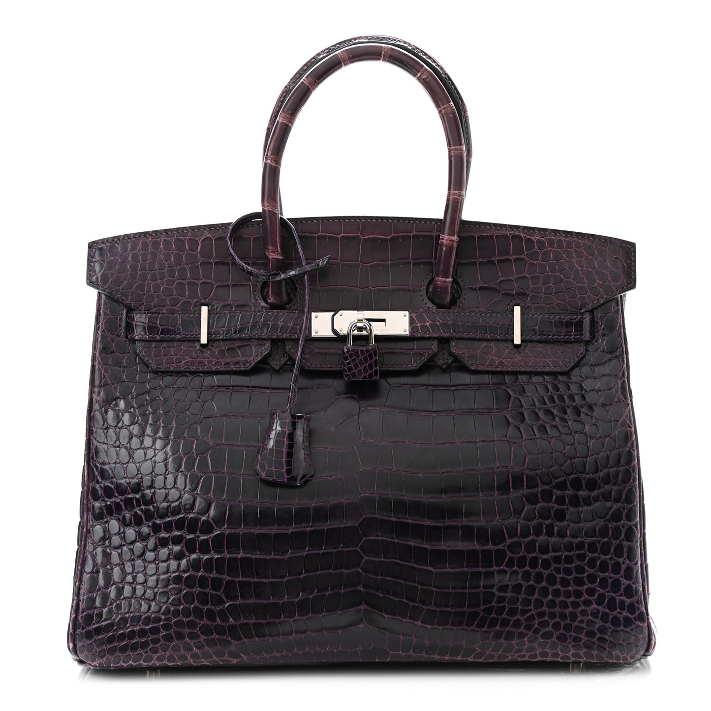 Shiny Porosus Crocodile Birkin 35 Prunoir