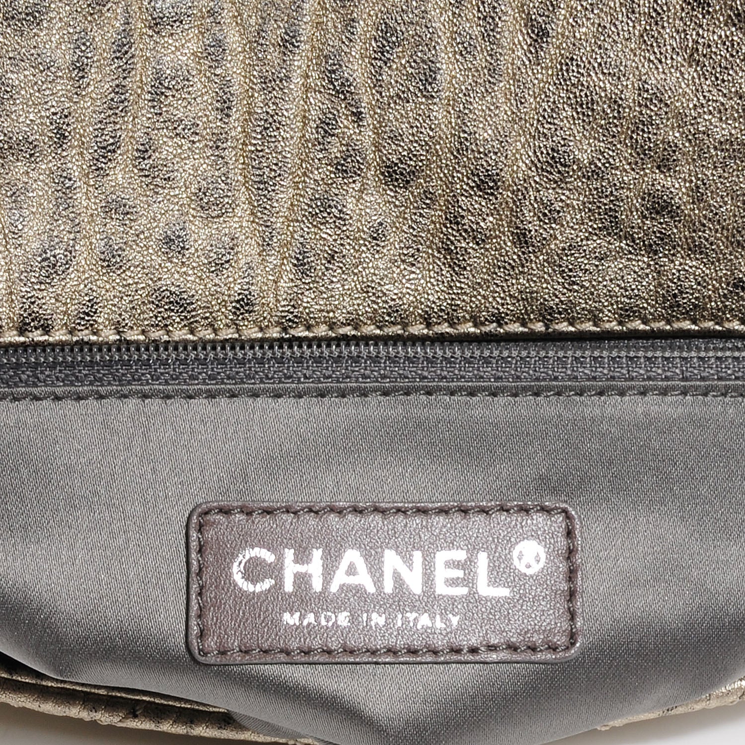 Chanel Leather Medium Leo Lion Flap Metallic 5 of 7