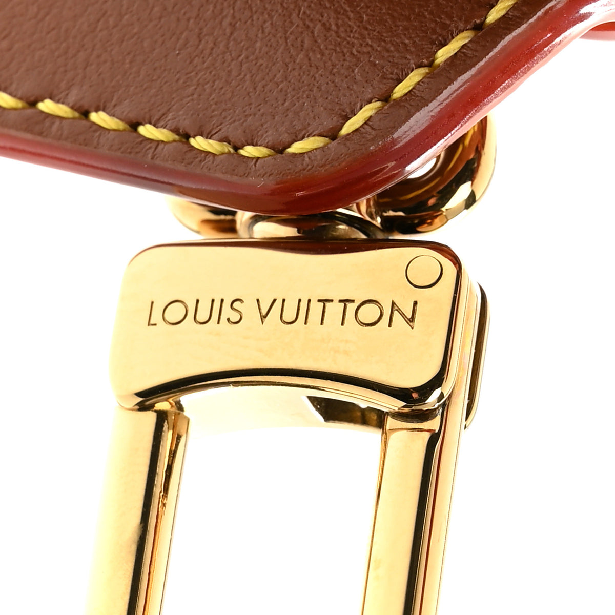 Louis Vuitton Raffia Calfskin Monogram LV Turtle Pouch Bag Charm Brown 4 of 6