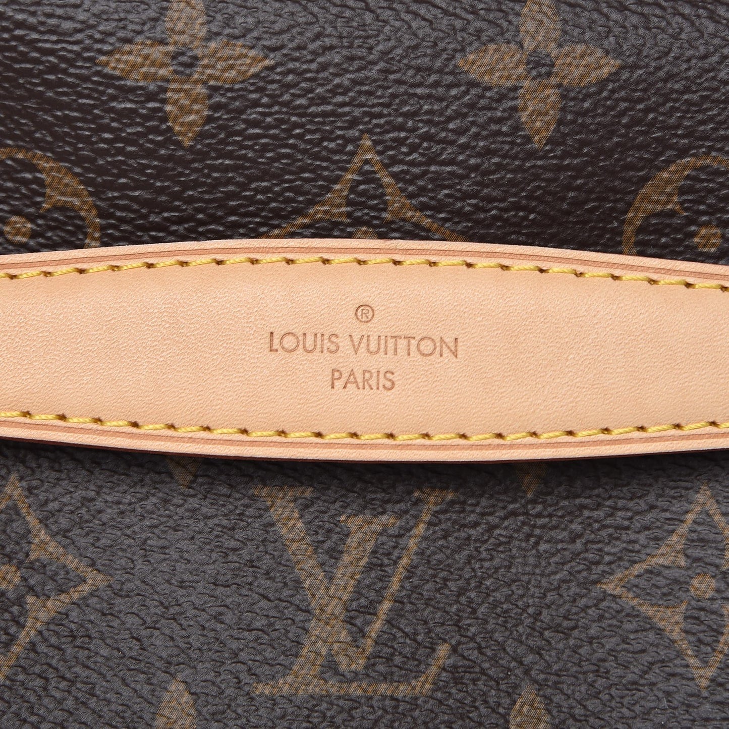 Monogram Bumbag