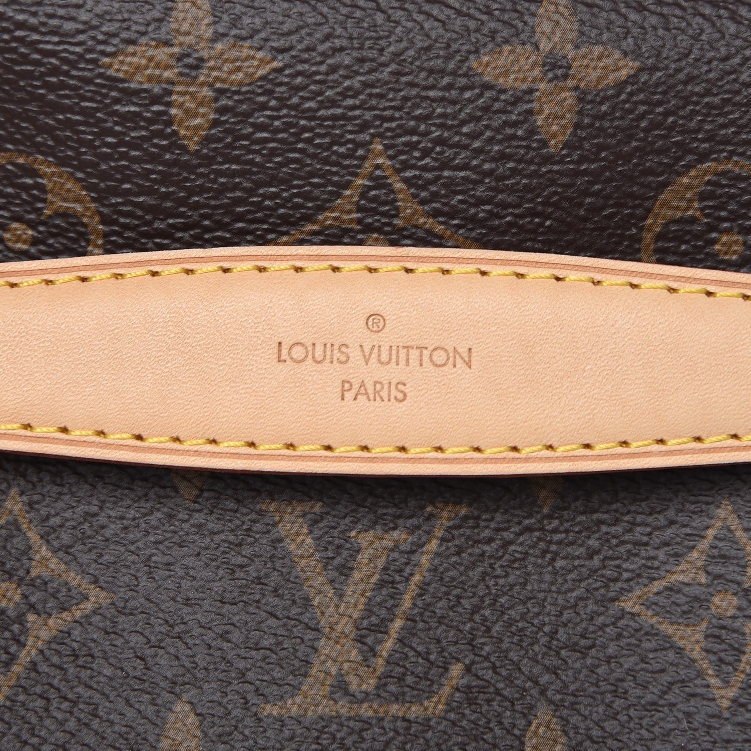 Louis Vuitton Monogram Bumbag 7 of 9