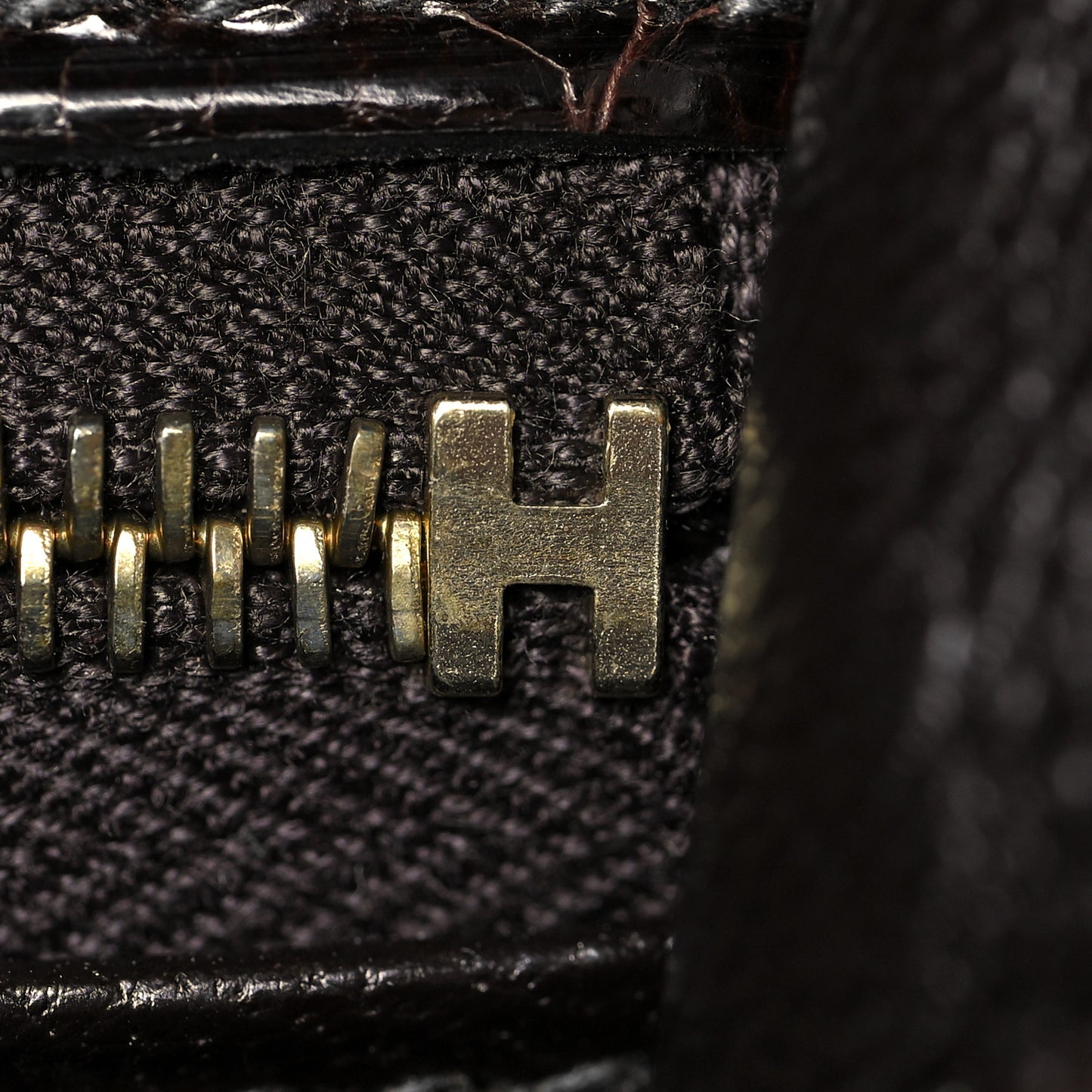 Shiny Niloticus Crocodile Kelly Sellier 28 Macassar