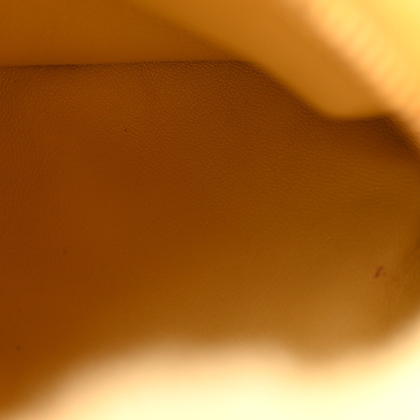 Shearling Lambskin Mini Jodie Teddy