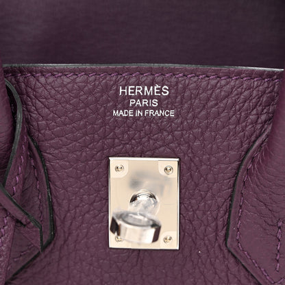 Hermes Togo Birkin 25 Cassis 8 of 12