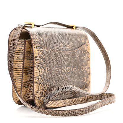 Hermes Lizard Constance 18 Ombre 3 of 11