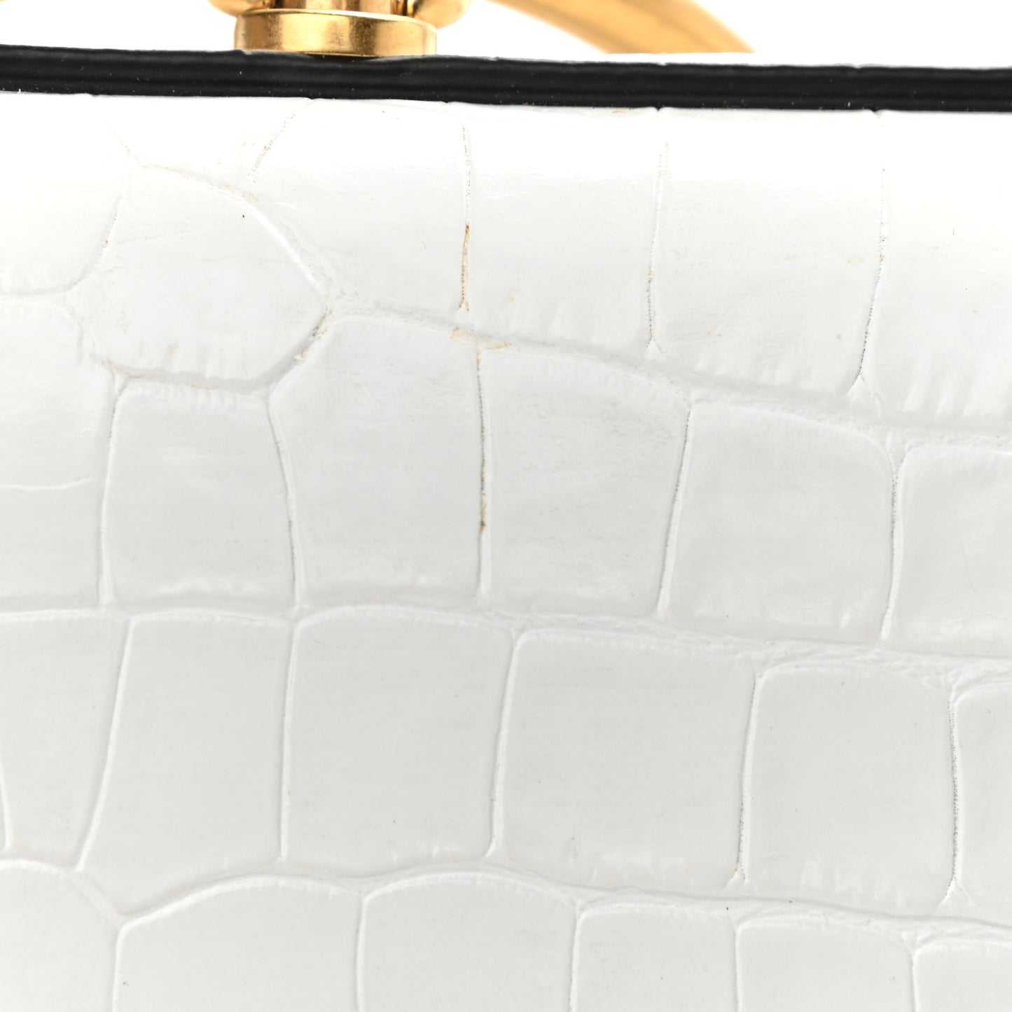 Calfskin Crocodile Embossed Small Nile Bracelet Minaudiere Bag White