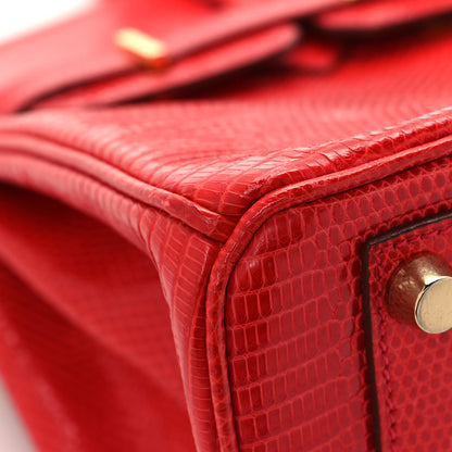 Hermes Lizard Birkin 25 Rouge Moyen 9 of 16