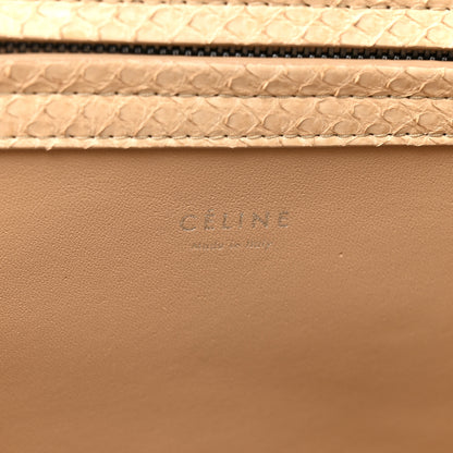 Celine Snakeskin Medium Phantom Luggage Beige 6 of 12