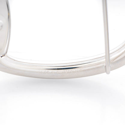 Hermes Palladium 42mm Mors Belt Buckle 4 of 5