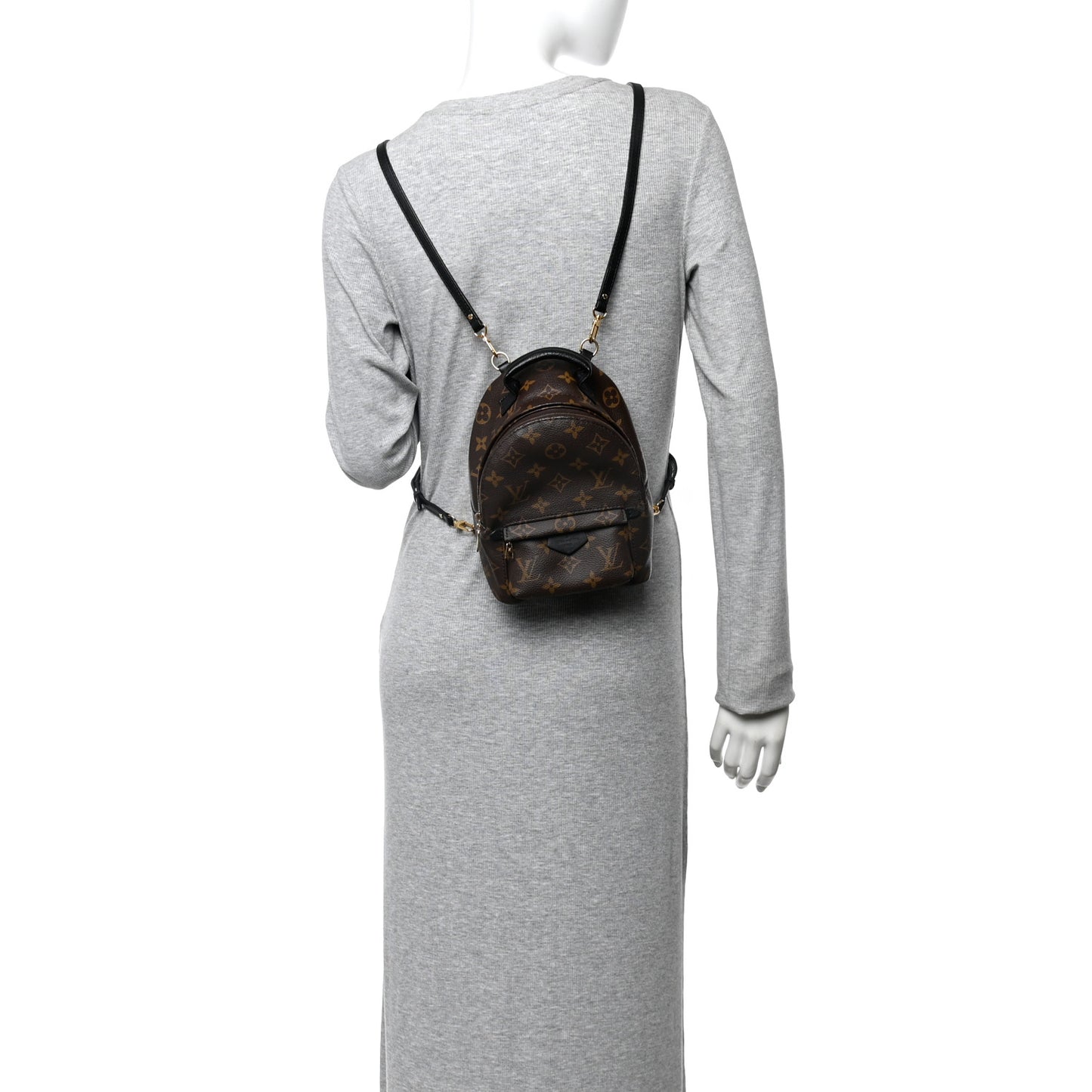 Monogram Palm Springs Backpack Mini