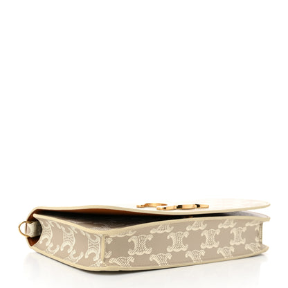 Celine Canvas Calfskin Triomphe Multipochette Grege 4 of 10