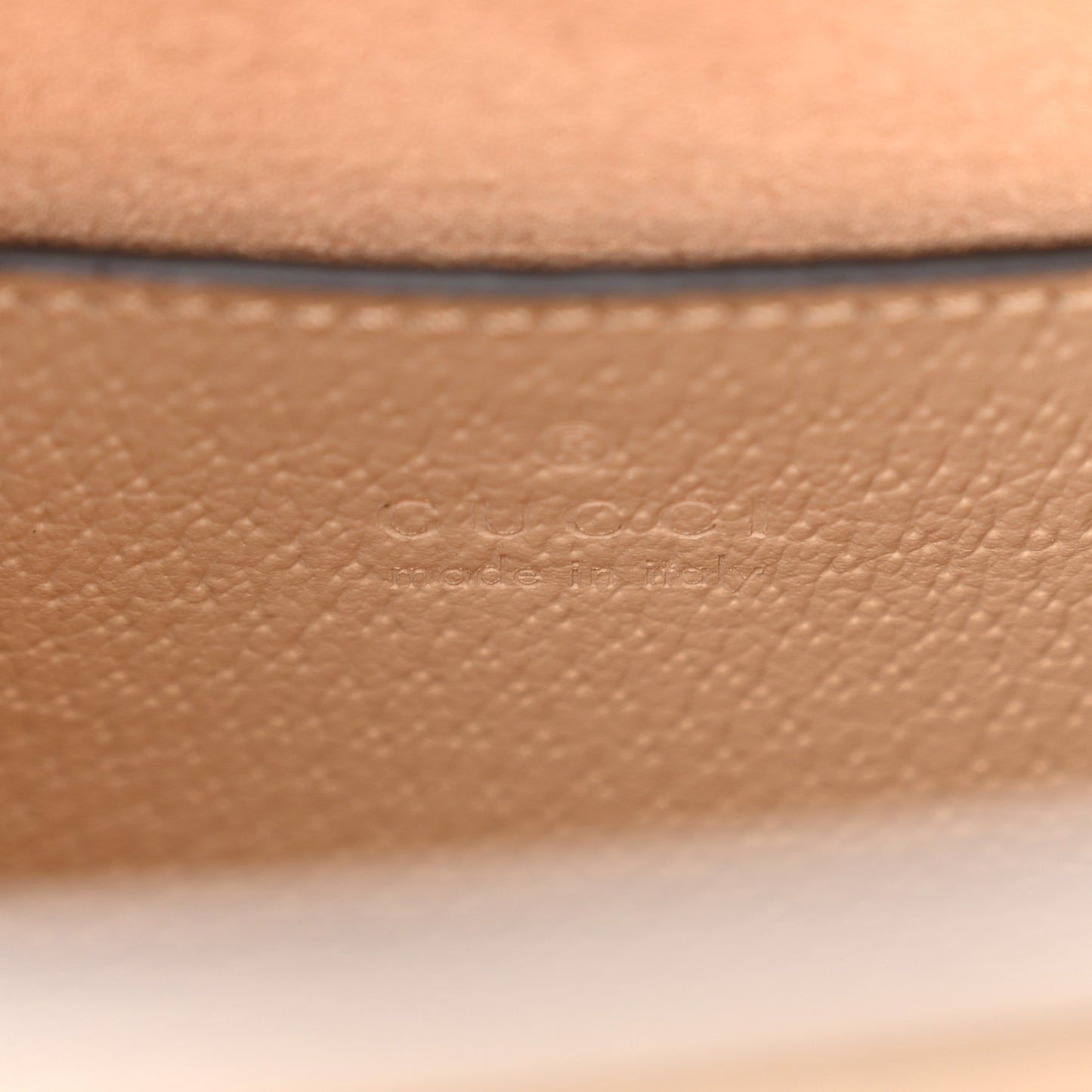 Textured Dollar Calfskin Web Mini Diana Tote Bag Oatmeal Vintage Green