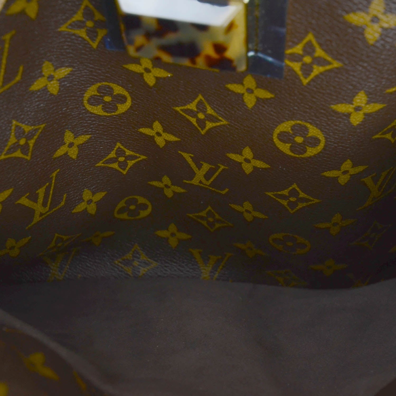 Louis Vuitton Monogram Etoile Exotique GM Miel 14 of 17