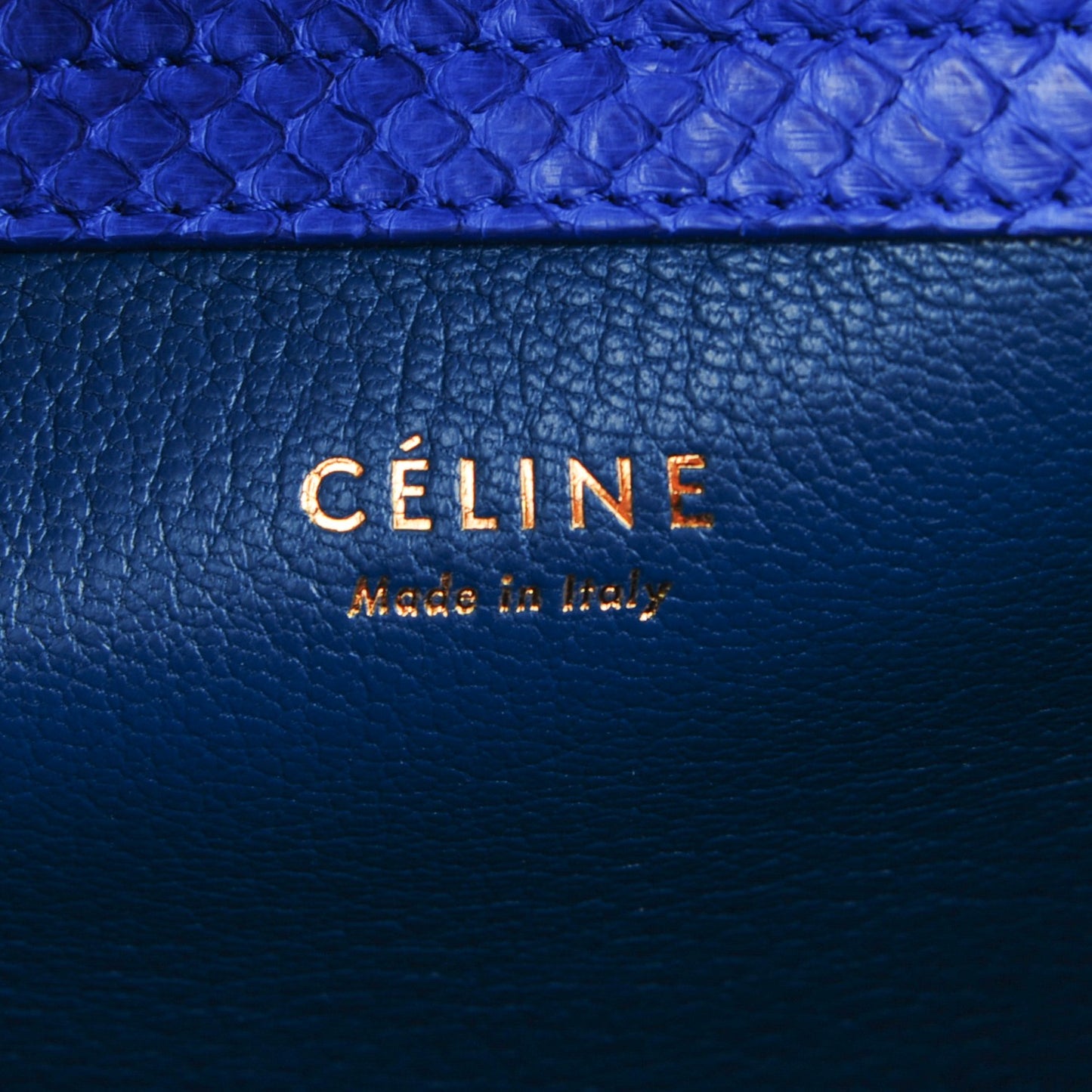 Python Medium Phantom Luggage Bright Blue