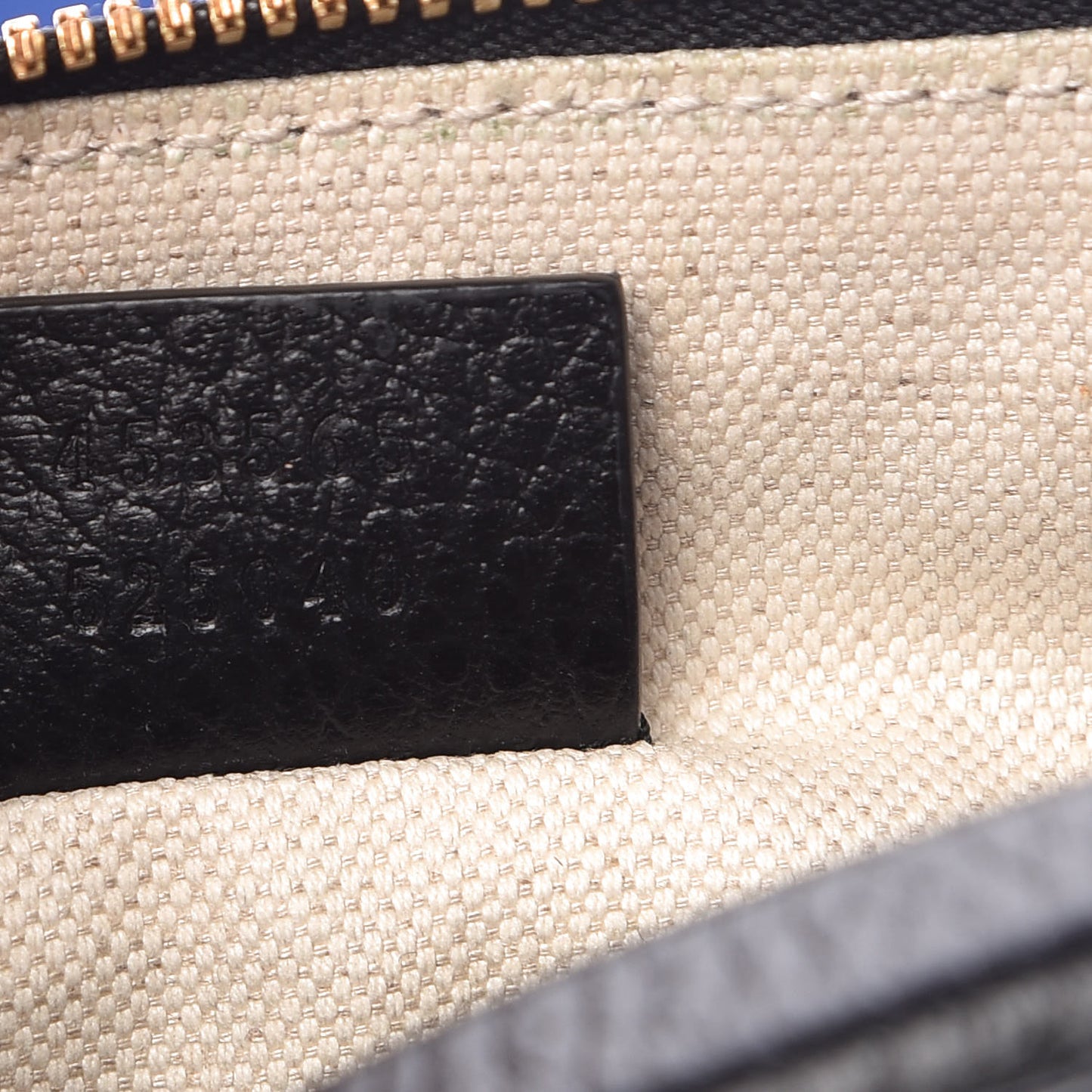 Grained Calfskin Sylvie Web Kingsnake Small Camera Bag Black Multicolor