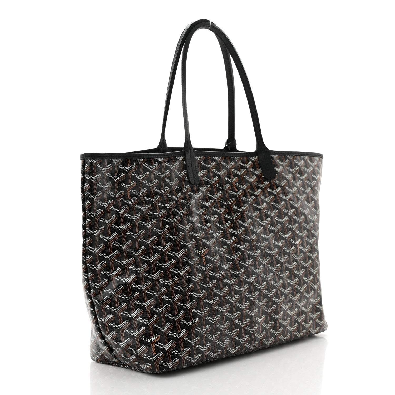 Goyard Goyardine Saint Louis PM Black 4 of 11