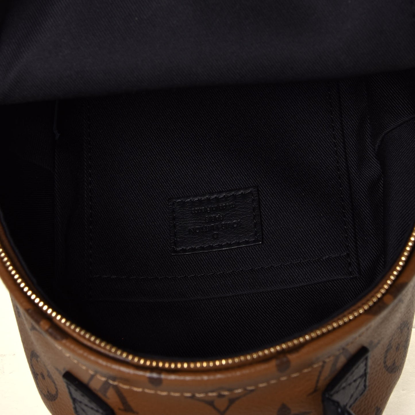 Reverse Monogram Palm Springs Backpack Mini