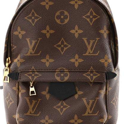 Louis Vuitton Monogram Palm Springs Backpack Mini 7 of 9