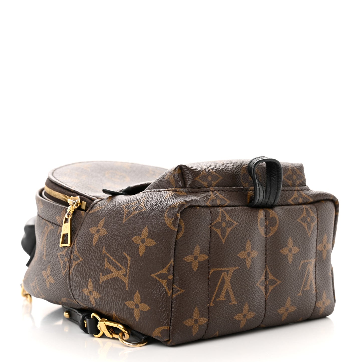 Monogram Palm Springs Backpack Mini