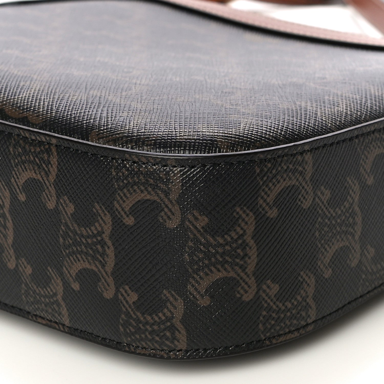 Celine Triomphe Canvas Small Camera Bag Tan 10 of 12