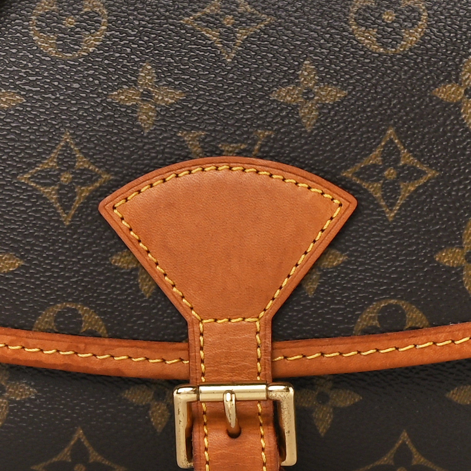 Louis Vuitton Monogram Sologne 7 of 12