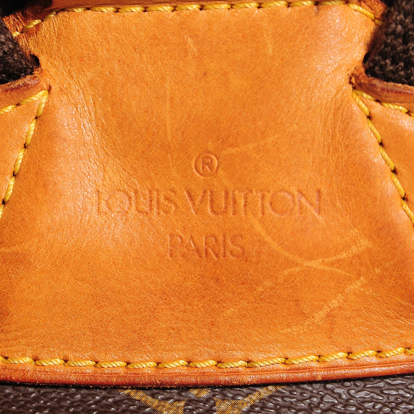 Monogram Montsouris GM Backpack