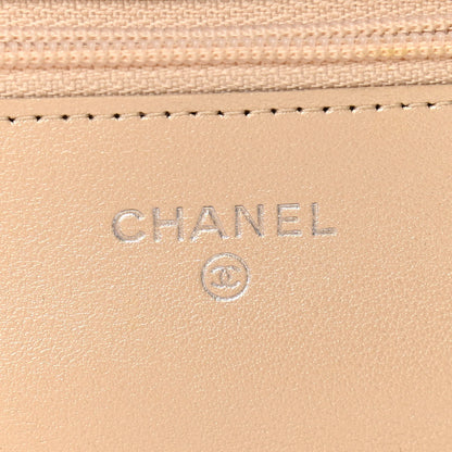 Chanel Metallic Sheepskin Quilted Reissue Wallet On Chain WOC Beige 6 of 11