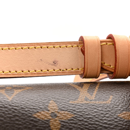 Louis Vuitton Monogram Sologne 14 of 14