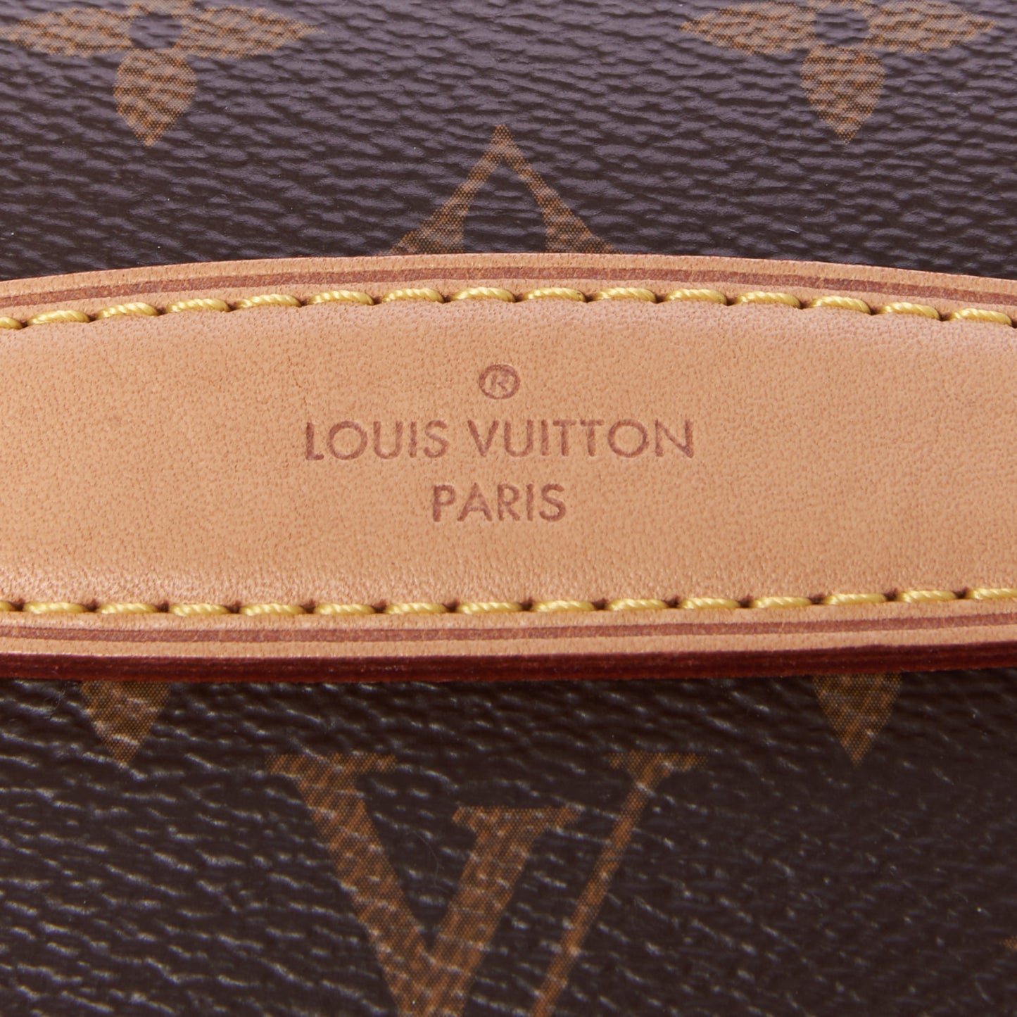 Monogram Bumbag