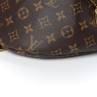 Louis Vuitton Monogram Bumbag 7 of 8